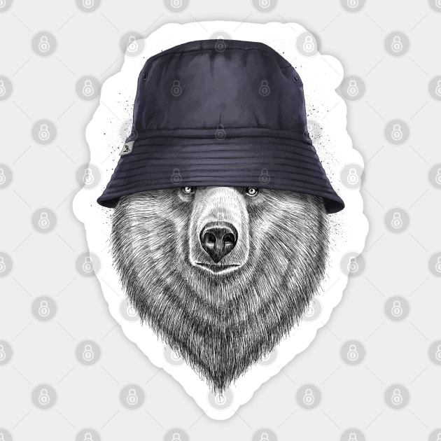 Bear in hat Sticker by NikKor